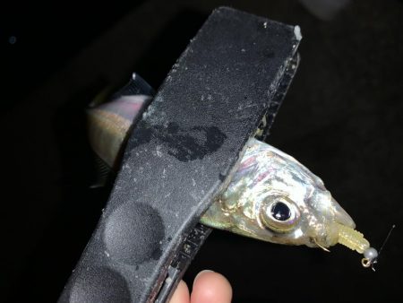 アーバンサイドアジング