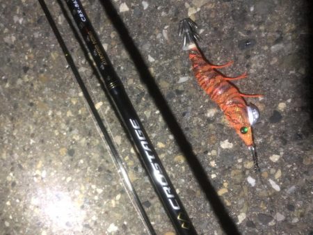 エギング終盤？