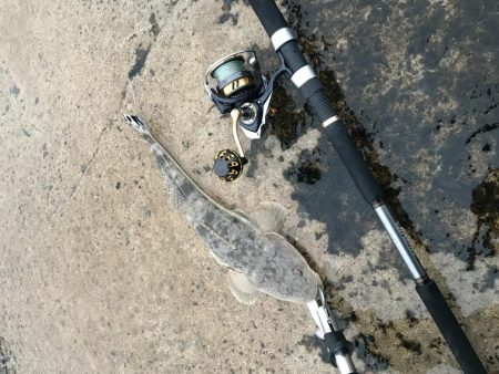 久しぶりの釣果