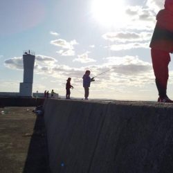 ショアジギ空振り　渋〜い感じ