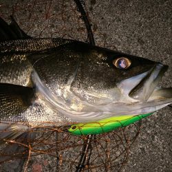 静かなる如意棒