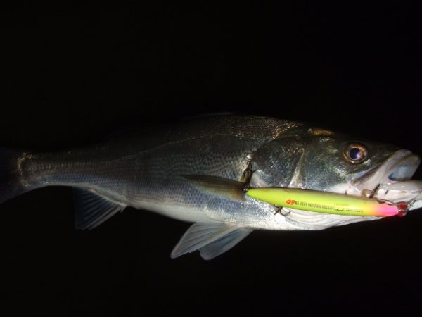 冷え込みで苦戦