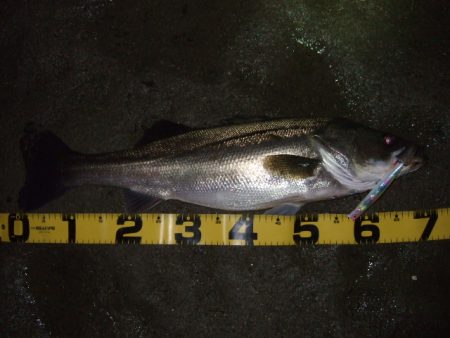 シーズン終盤戦