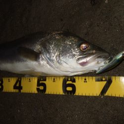 ハイシーズンも終わりを実感