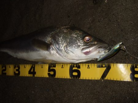 ハイシーズンも終わりを実感