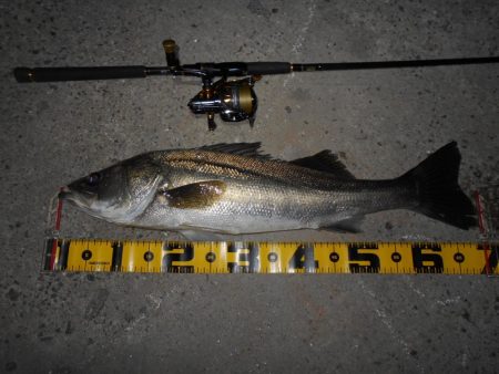 ヘビーウエイトミノーで攻略