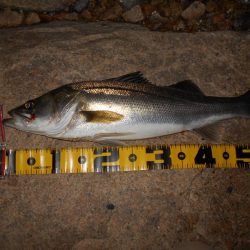 逃がさんっ！！