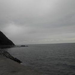 執念のメバリング