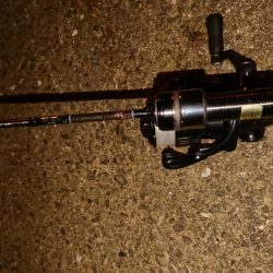 アジングの季節