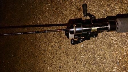 アジングの季節