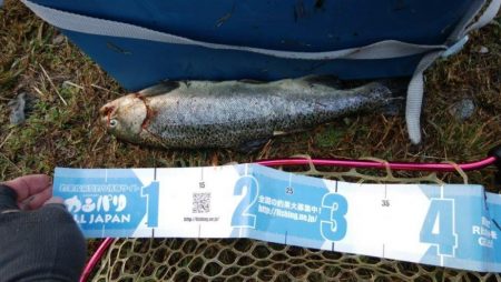 平日の管理釣り場は厳しかった!