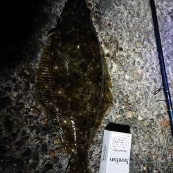 色々釣れた１日でした