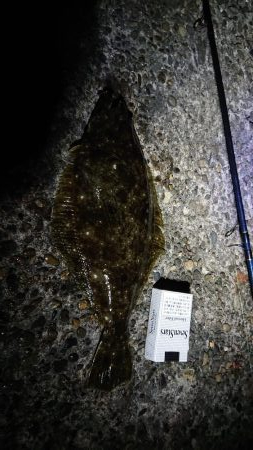 色々釣れた１日でした