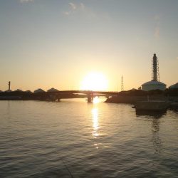 ライトショアジギング練習