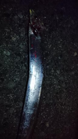 神戸タチウオ渋い渋い