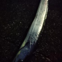 復調じゃ～ないじゃん！