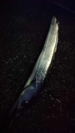 復調じゃ～ないじゃん！