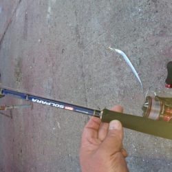 締めの太刀魚でやっと