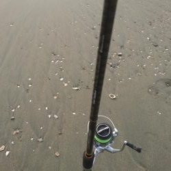 ビギナーズラックに気をよくして再度マゴチ狙いで