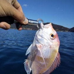 ボートエース出撃！