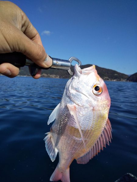 ボートエース出撃！