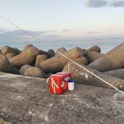 高砂港にキスの引き釣り