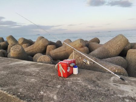 高砂港にキスの引き釣り