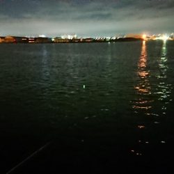 彼女とアジ調査