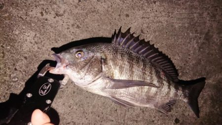 ジグでも釣れます