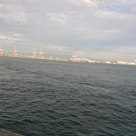 太刀魚1匹しか釣ってないのにお持ち帰り5匹