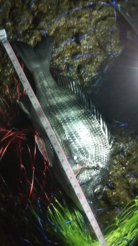 やや強い風、波少し荒れ気味、釣果2匹