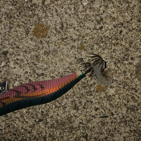 諦めかけたその時!