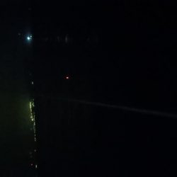 サバパーティー