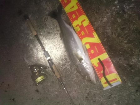 昨日よりサイズアップ！