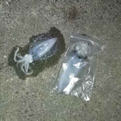 当たりが多かった