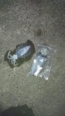 当たりが多かった