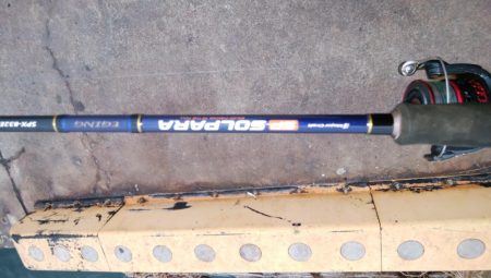 タチウオ日ムラはしょうがないな