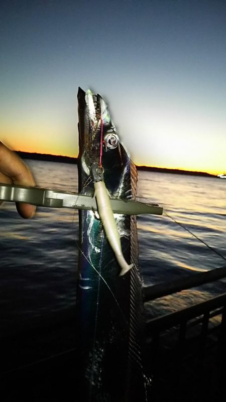 アジング後サーベリング