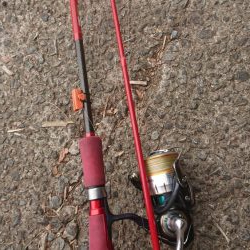 アジング&エギンク