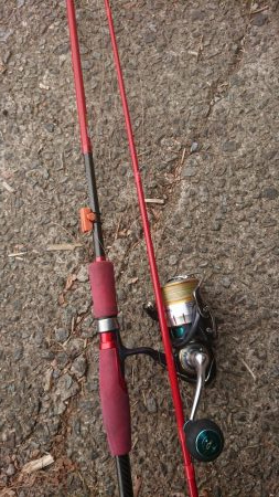 アジング&エギンク