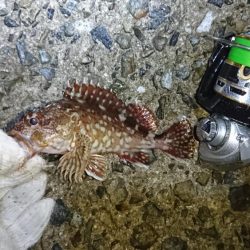 チャリコ地獄でもナイスガッシー！