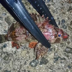 渋い！何とか一匹！