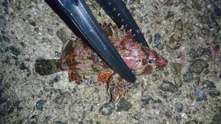 渋い！何とか一匹！