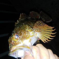 初の貝塚人工島