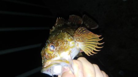 初の貝塚人工島