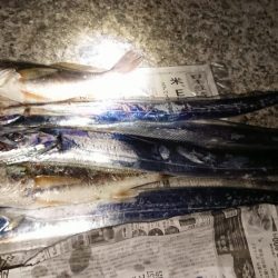 だんだん寒くなってきましたが