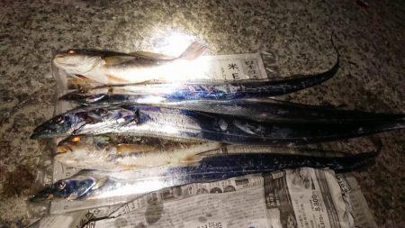 だんだん寒くなってきましたが