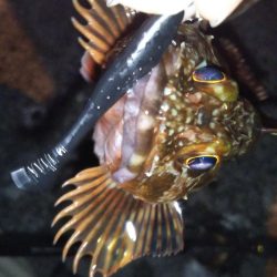 短時間ライトゲーム