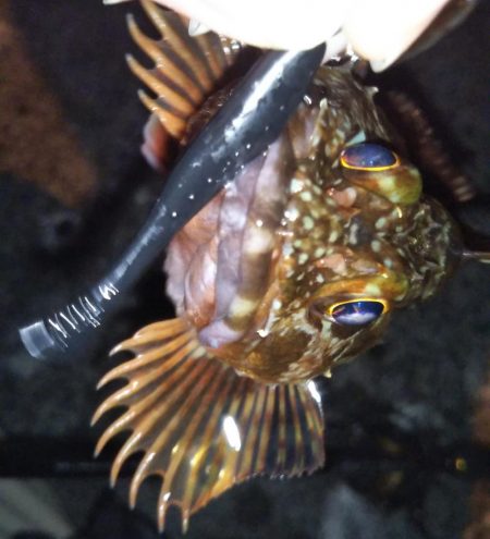 短時間ライトゲーム