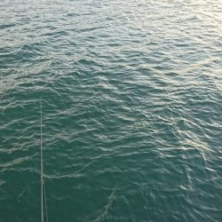 スーパーナブラを求めて・・・